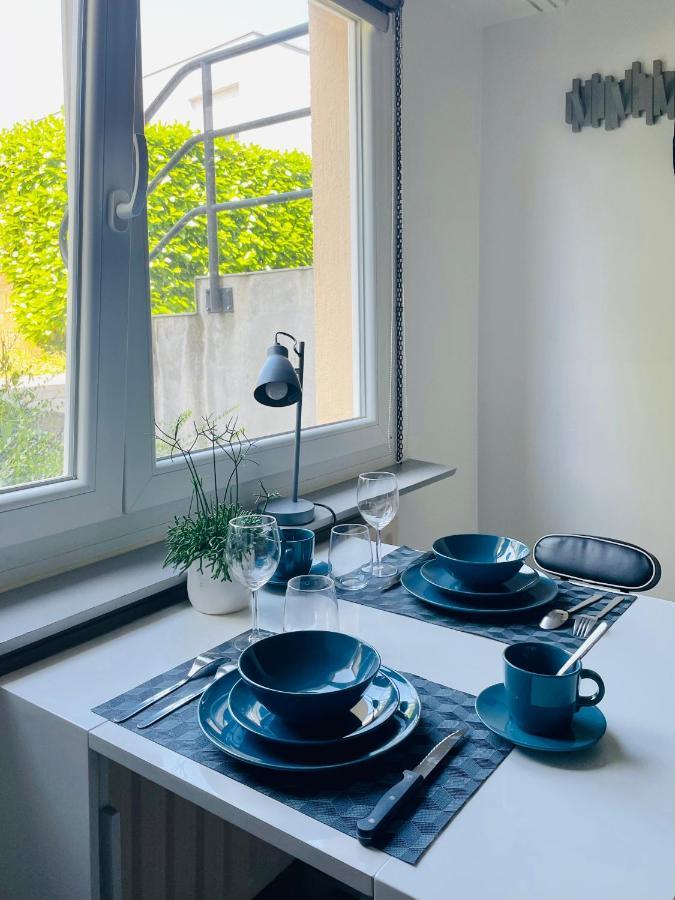 Dnn - Stylish Studio - Free Wifi, Netflix And Parking - Min Away To Basel And Airport - Dishwasher, Washing Machine Saint-Louis  Exteriér fotografie