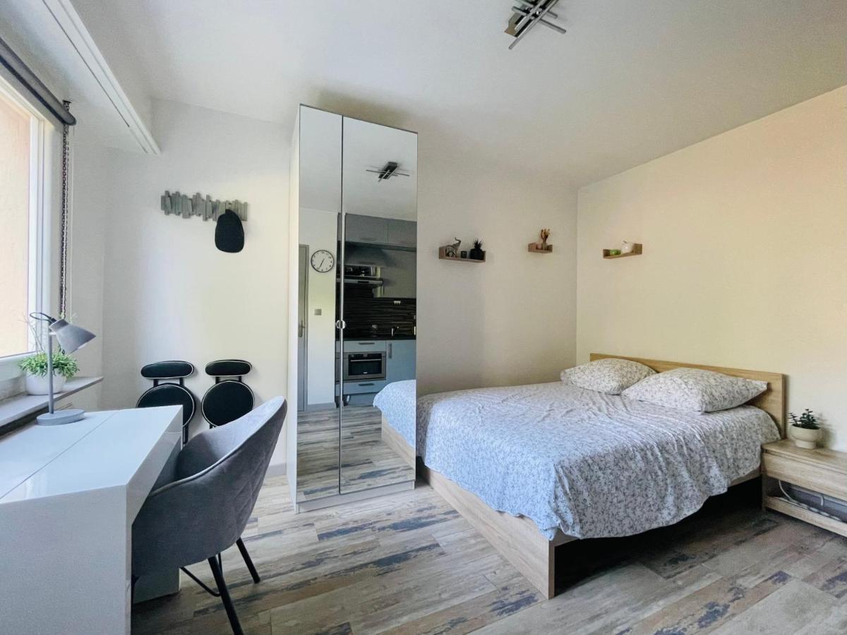 Dnn - Stylish Studio - Free Wifi, Netflix And Parking - Min Away To Basel And Airport - Dishwasher, Washing Machine Saint-Louis  Exteriér fotografie