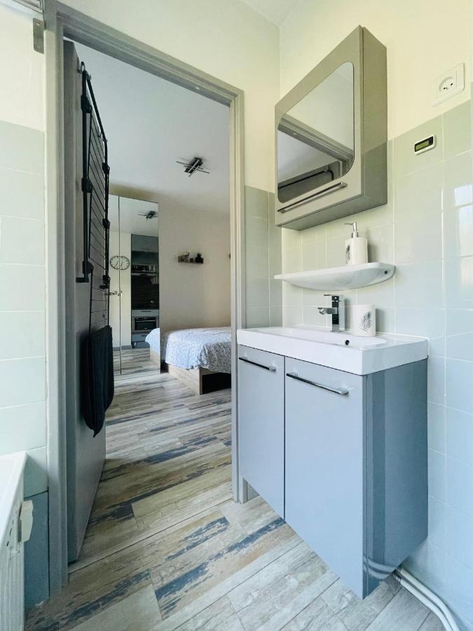 Dnn - Stylish Studio - Free Wifi, Netflix And Parking - Min Away To Basel And Airport - Dishwasher, Washing Machine Saint-Louis  Exteriér fotografie