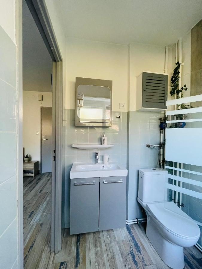 Dnn - Stylish Studio - Free Wifi, Netflix And Parking - Min Away To Basel And Airport - Dishwasher, Washing Machine Saint-Louis  Exteriér fotografie