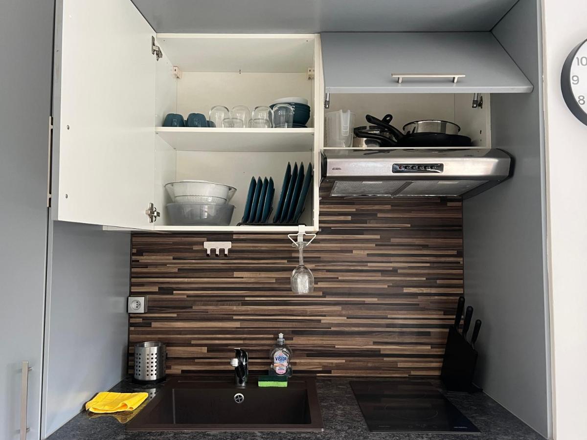 Dnn - Stylish Studio - Free Wifi, Netflix And Parking - Min Away To Basel And Airport - Dishwasher, Washing Machine Saint-Louis  Exteriér fotografie